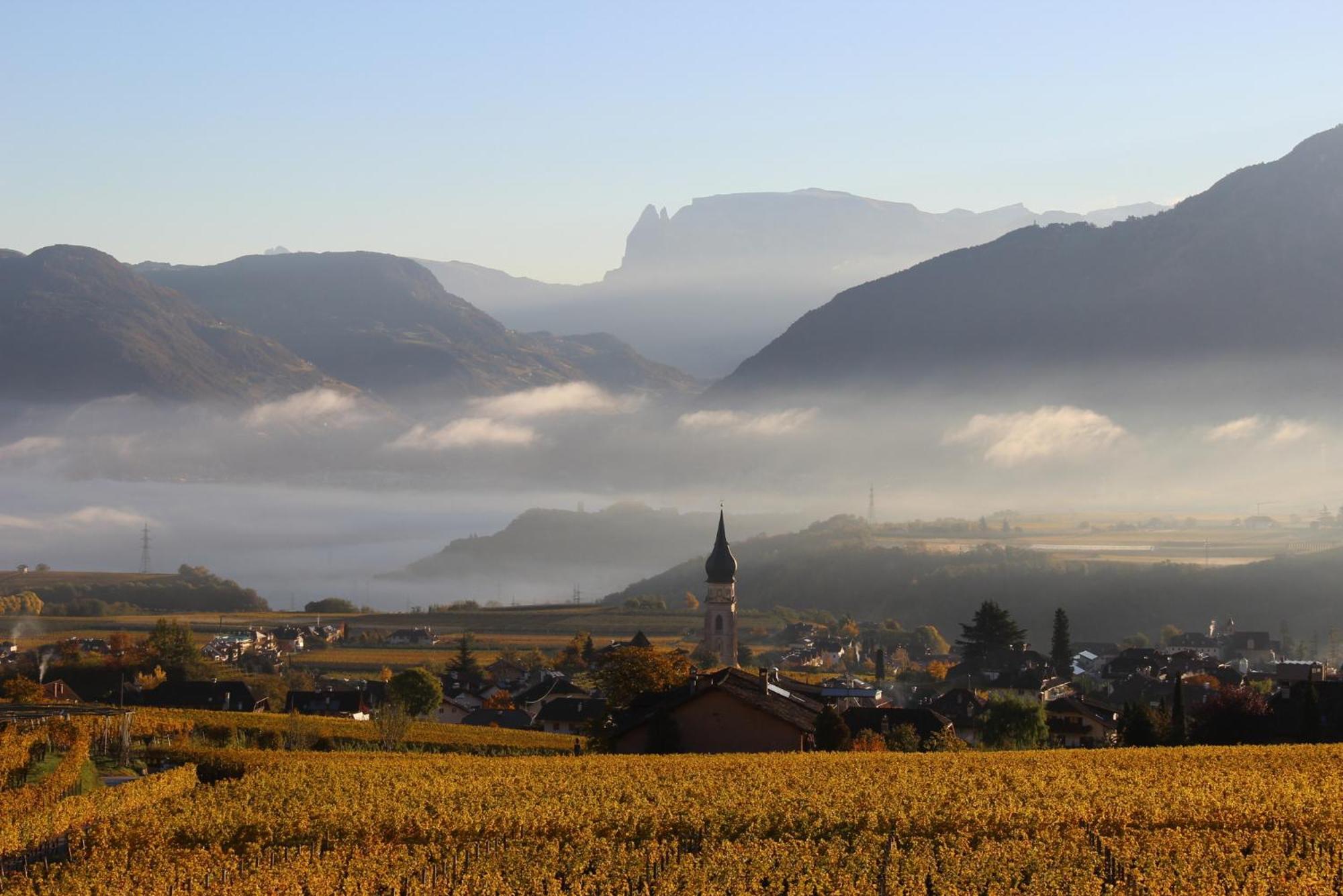 Ferienwohnung Haas Appiano Sulla Strada Del Vino Bagian luar foto