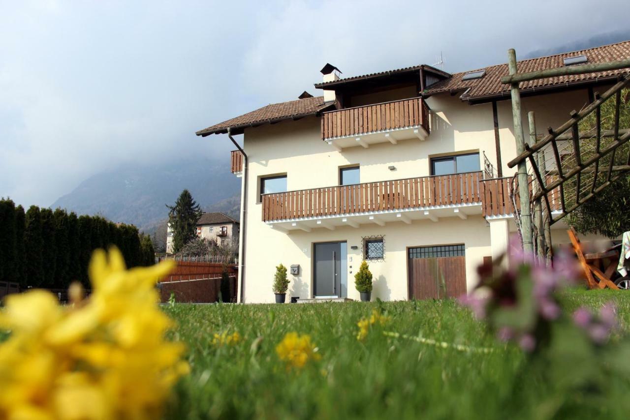 Ferienwohnung Haas Appiano Sulla Strada Del Vino Bagian luar foto